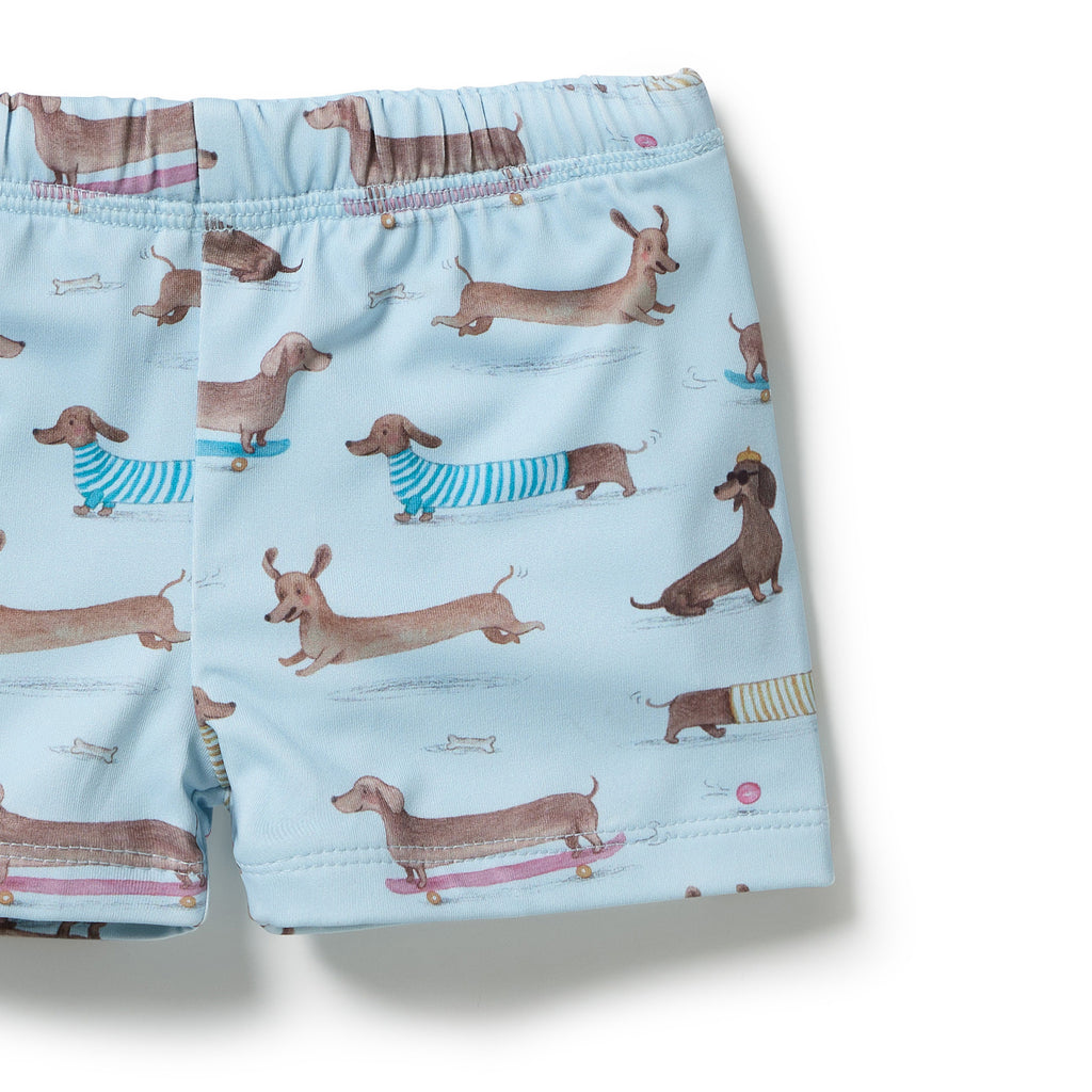 Wilson & Frenchy Dashing Rashie Swim Set