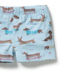 Wilson & Frenchy Dashing Rashie Swim Set