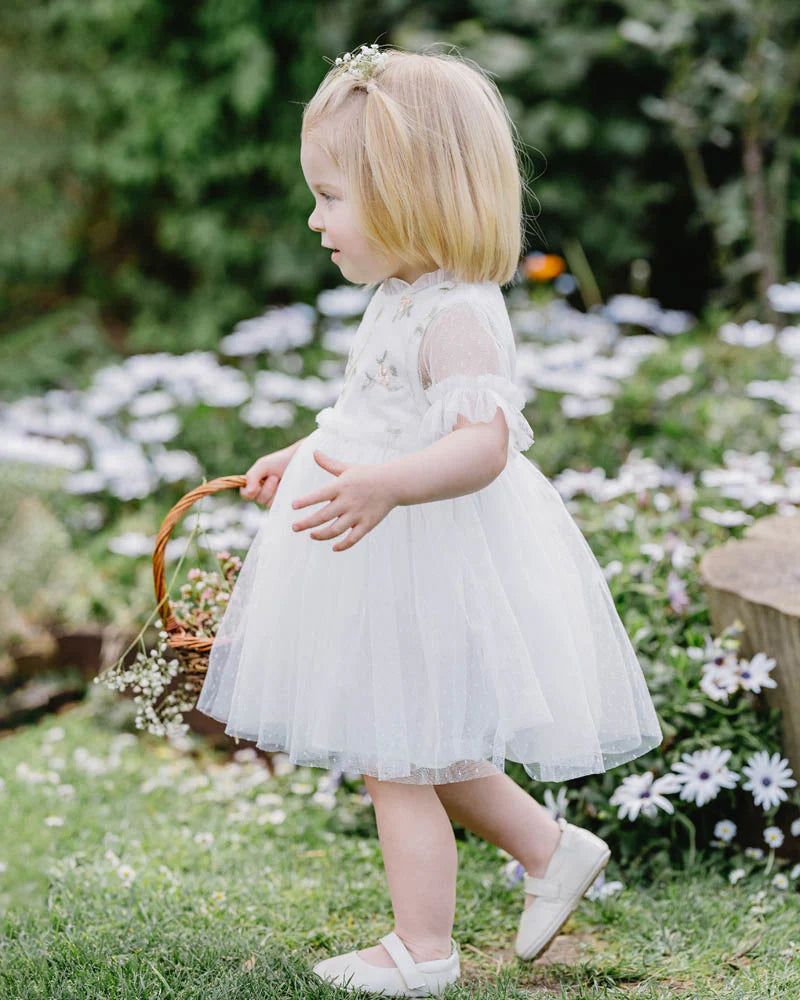 Bebe Tulle Emroiderd Floral SS Dress
