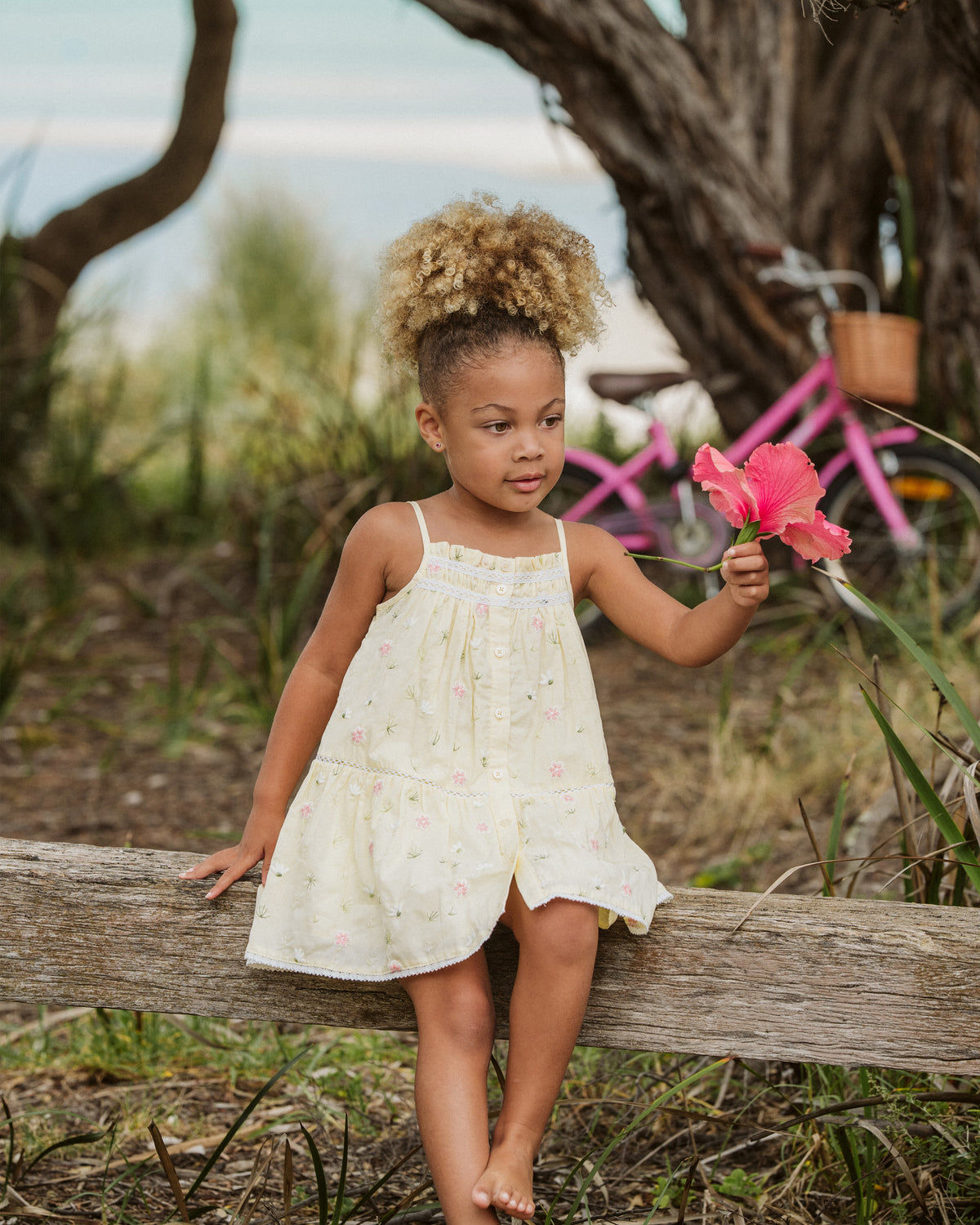 Bebe Pia All Over Embroidery Dress