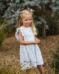 Bebe Libby Embroidered Butterfly Dress