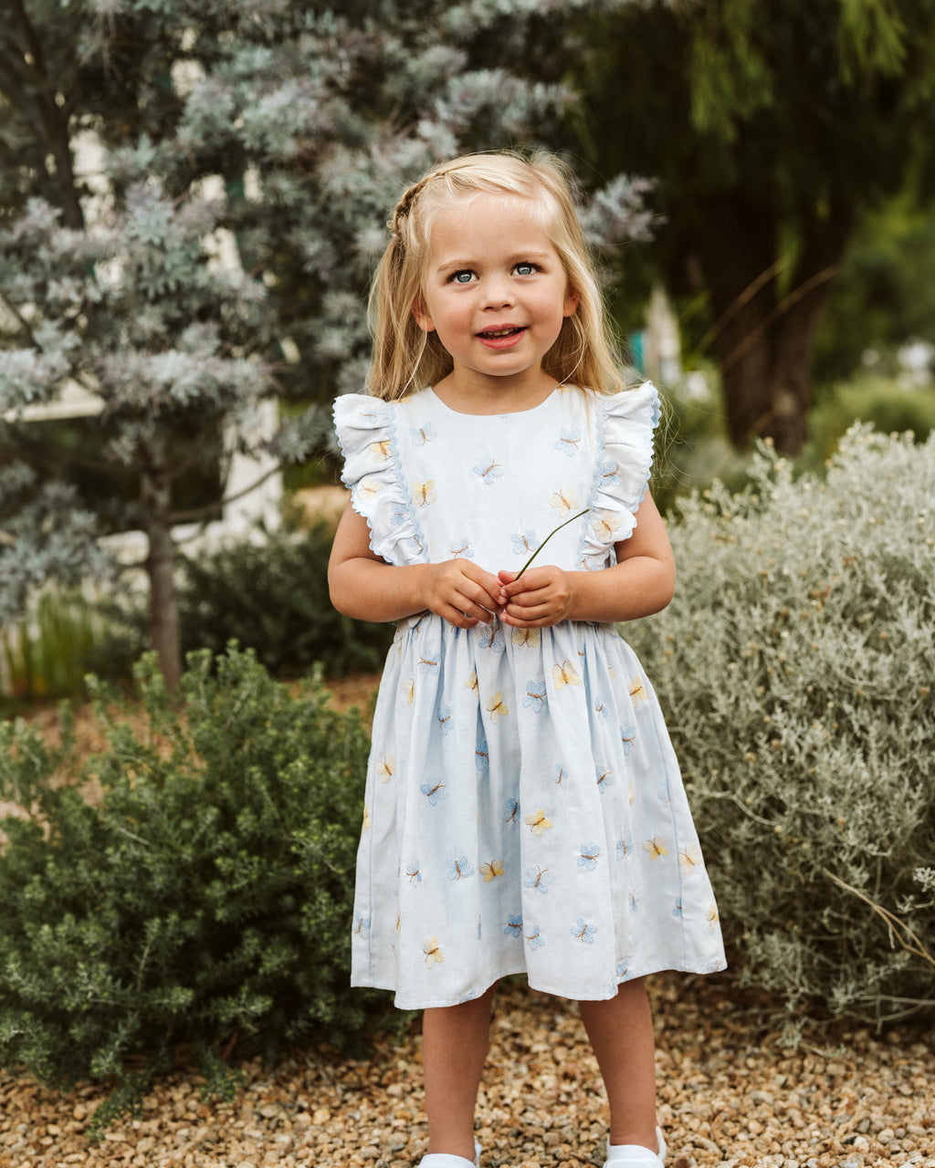 Bebe Libby Embroidered Butterfly Dress
