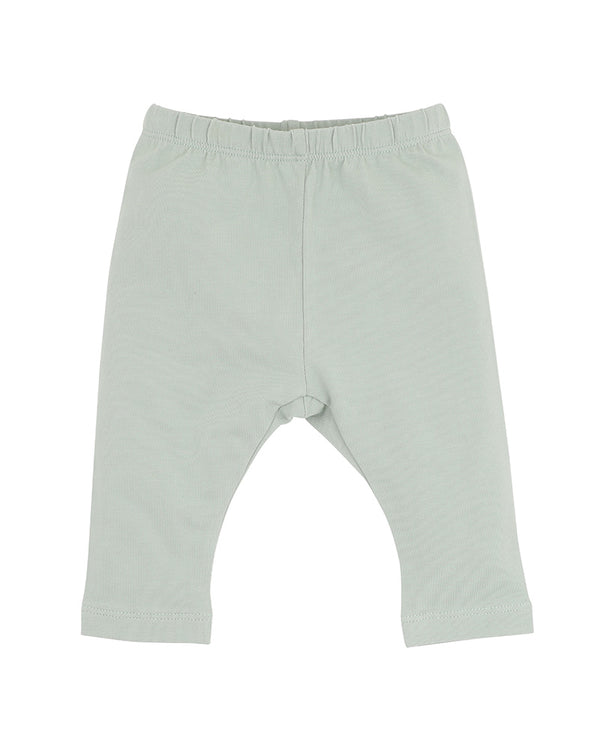 Bebe Molly Leggings
