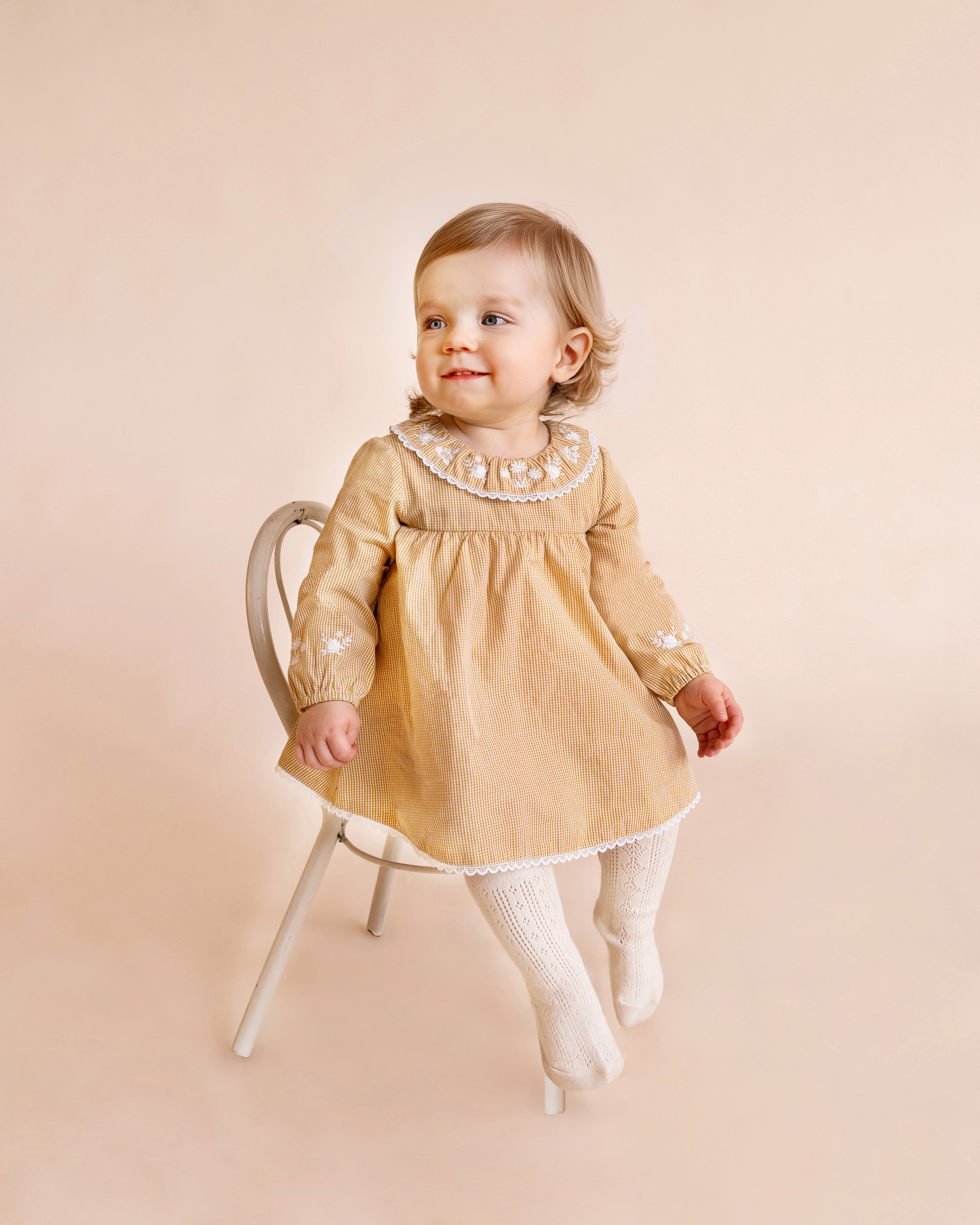 Bebe Winnie Embroidered Gingham Overlay Dress