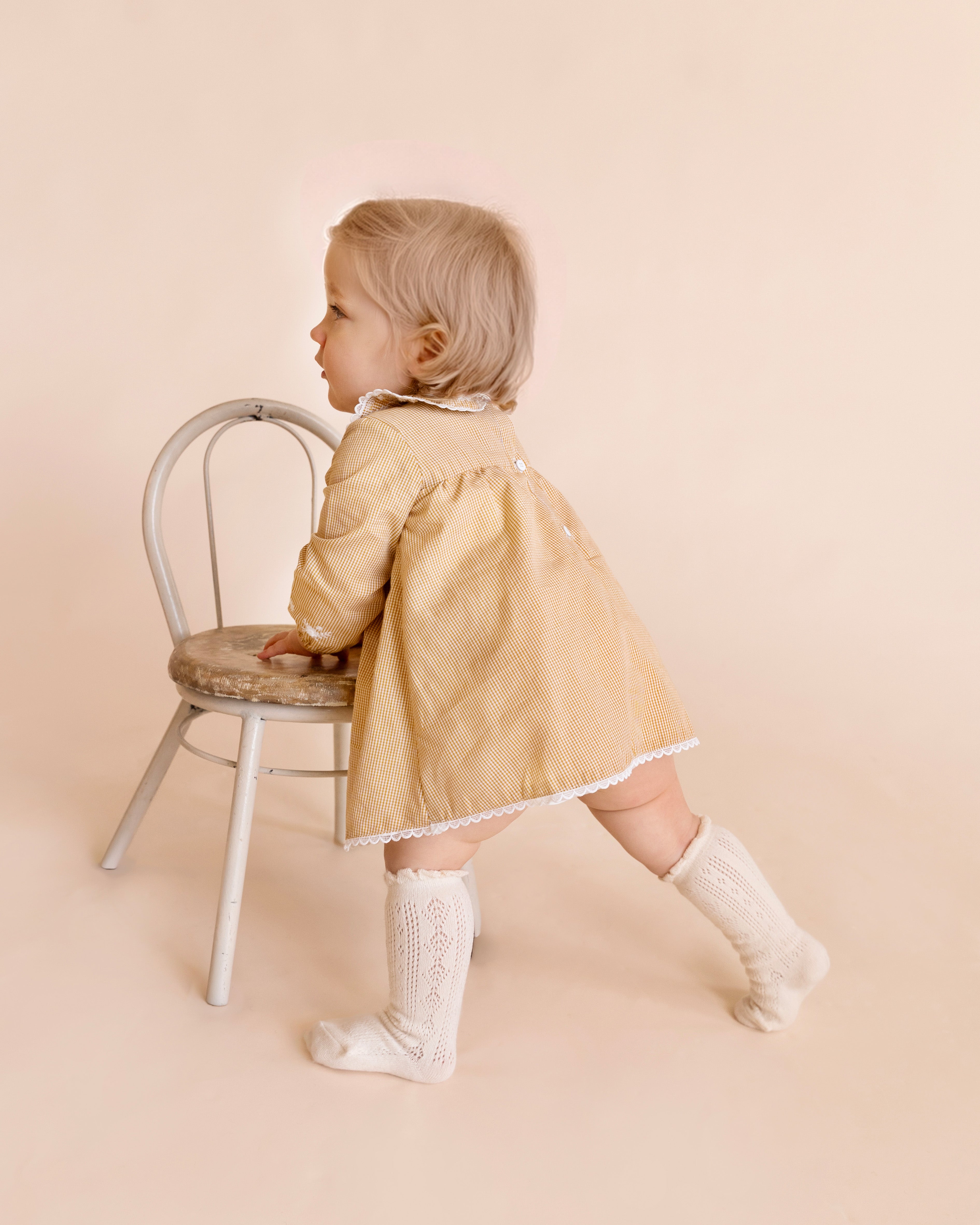 Bebe Winnie Embroidered Gingham Overlay Dress