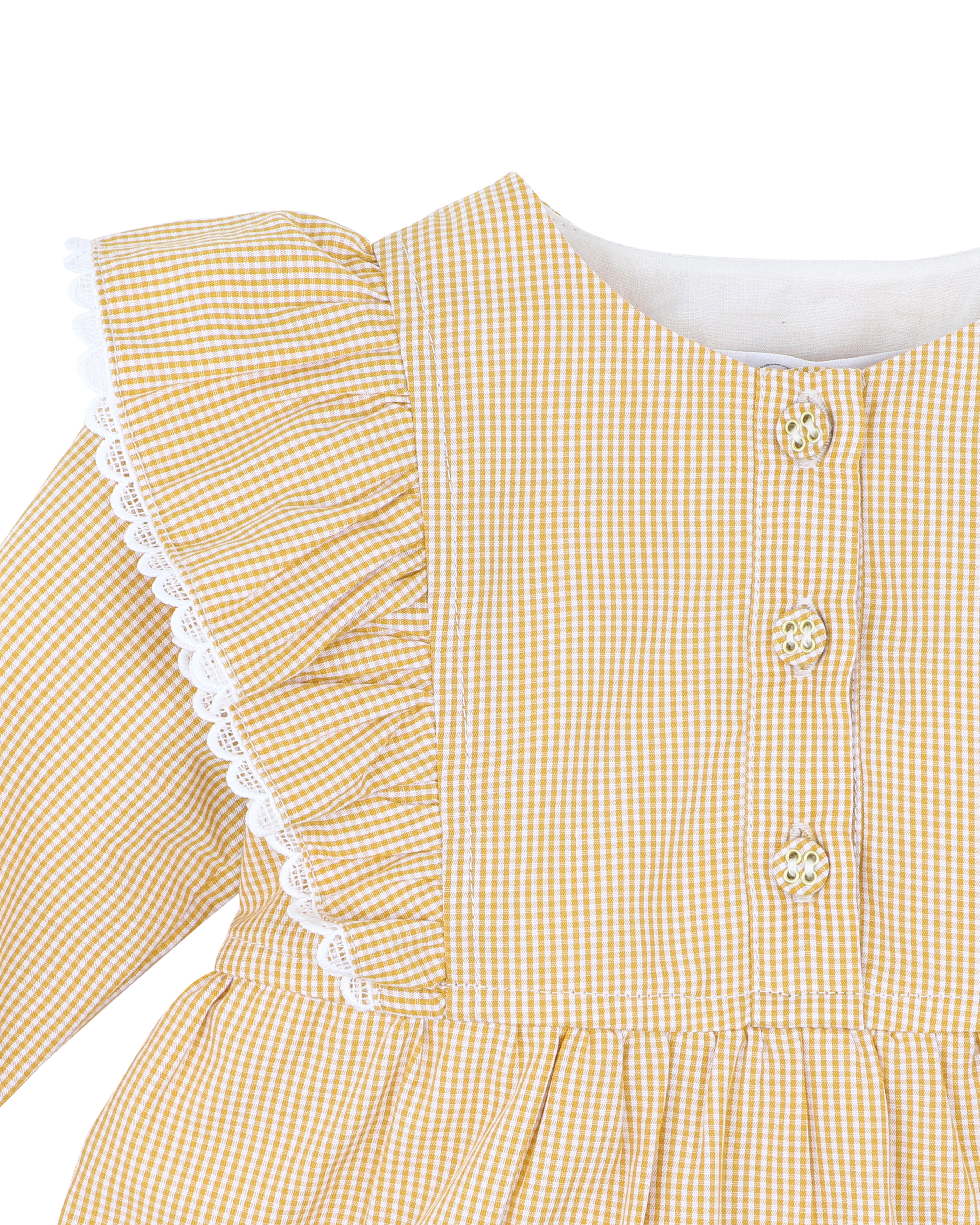 Bebe Winnie Embroidered Gingham Dress