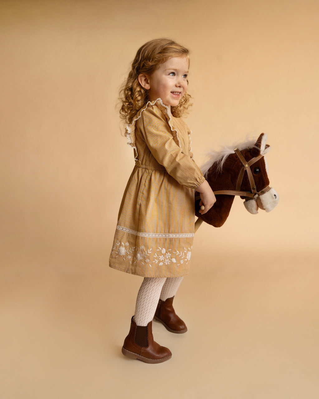 Bebe Winnie Embroidered Gingham Dress