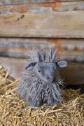 Nana Huchy - Aiden the Angora Goat