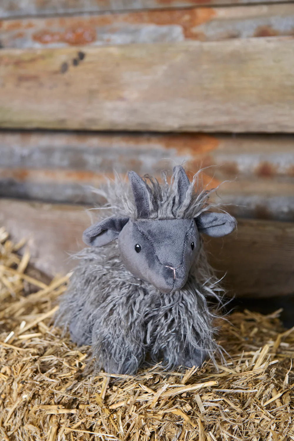 Nana Huchy - Aiden the Angora Goat