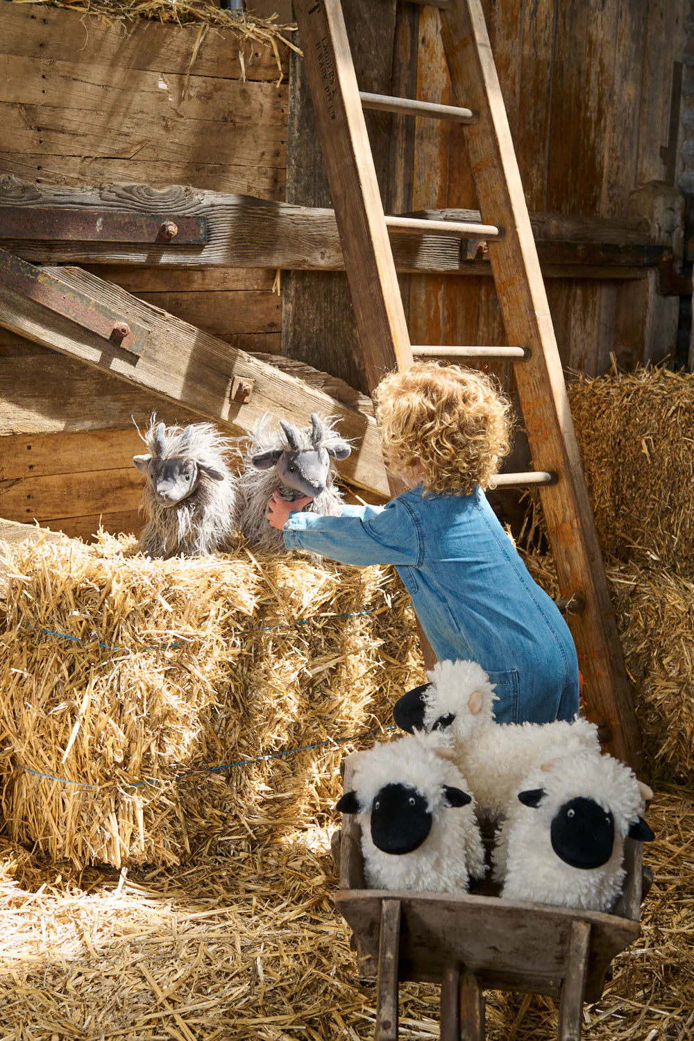 Nana Huchy - Aiden the Angora Goat