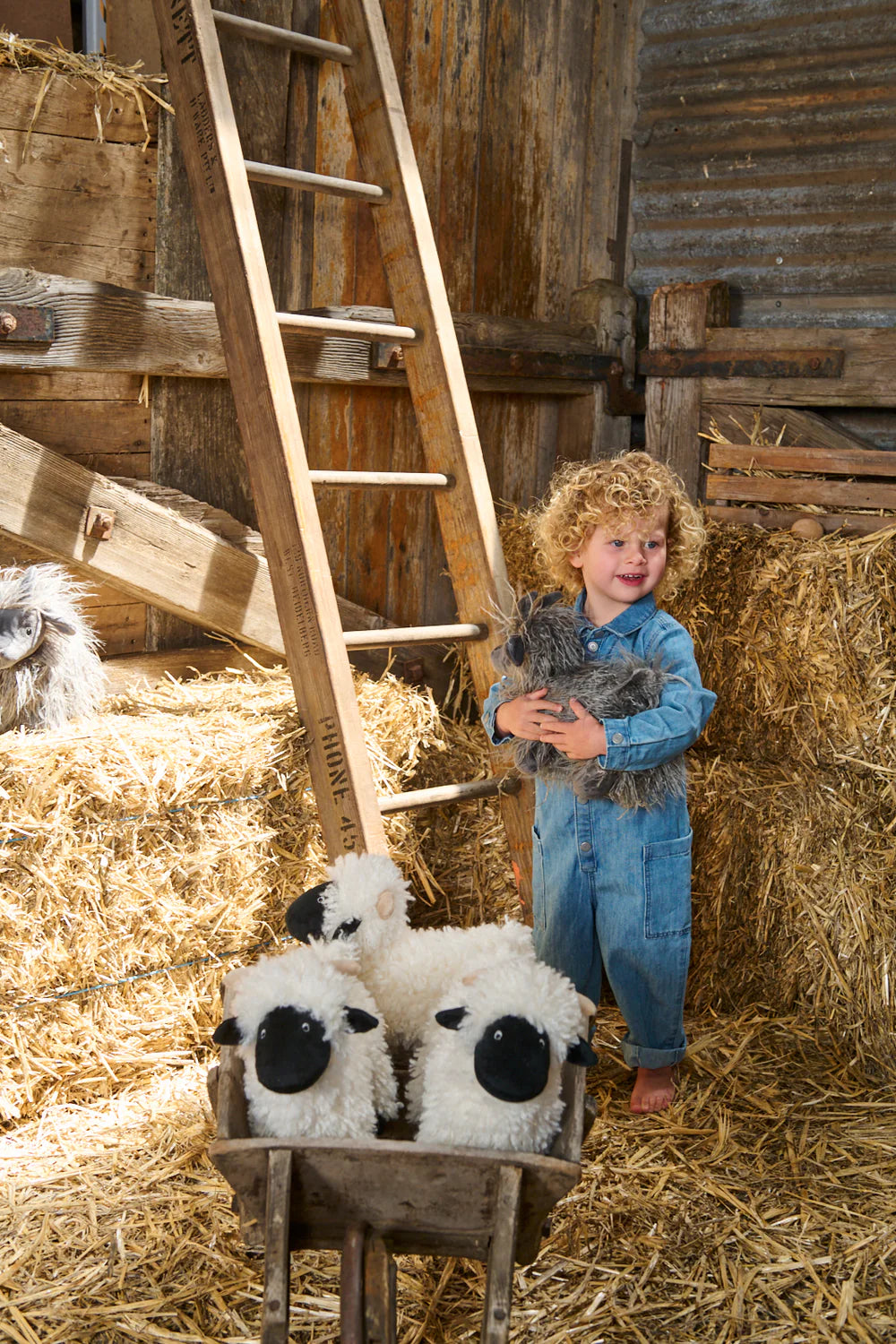 Nana Huchy - Aiden the Angora Goat