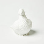 Jones & Co Ceramic Pigeon Money Box White