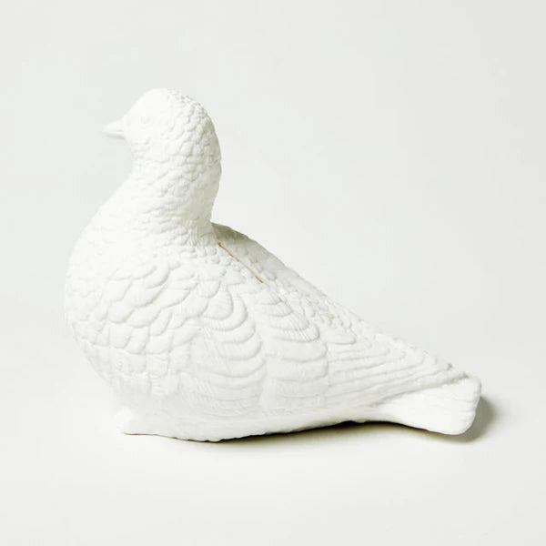 Jones & Co Ceramic Pigeon Money Box White