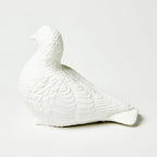 Jones & Co Ceramic Pigeon Money Box White