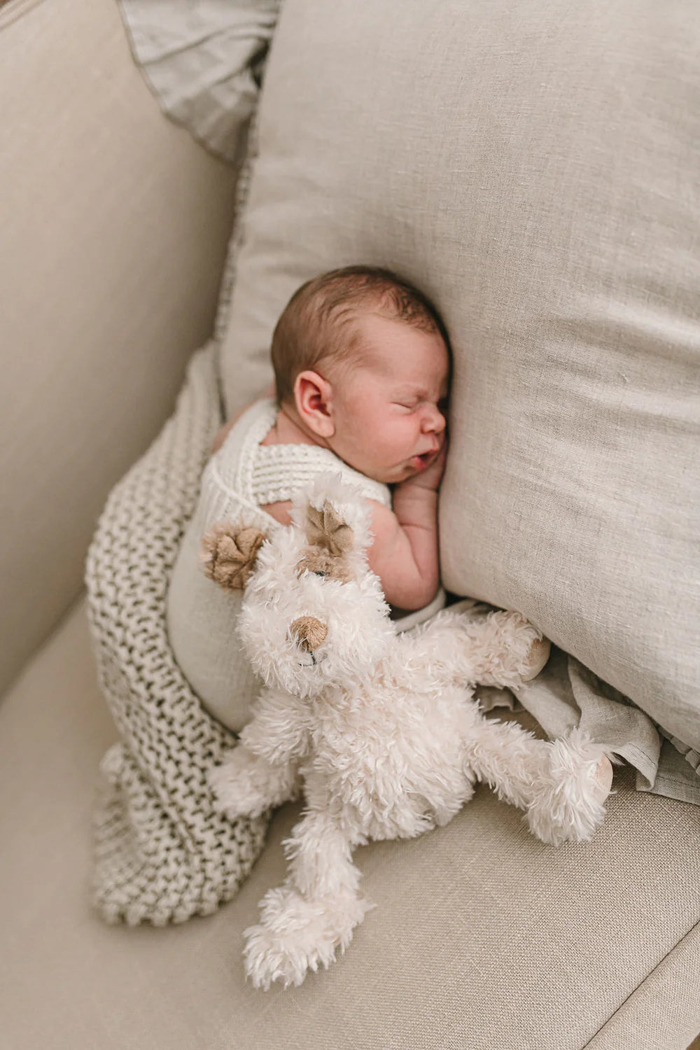 Nana Huchy - Buddy the Pup