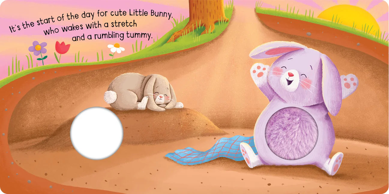 Lake Press Squeaky Plush Board Book - Squeaky Little Bunny