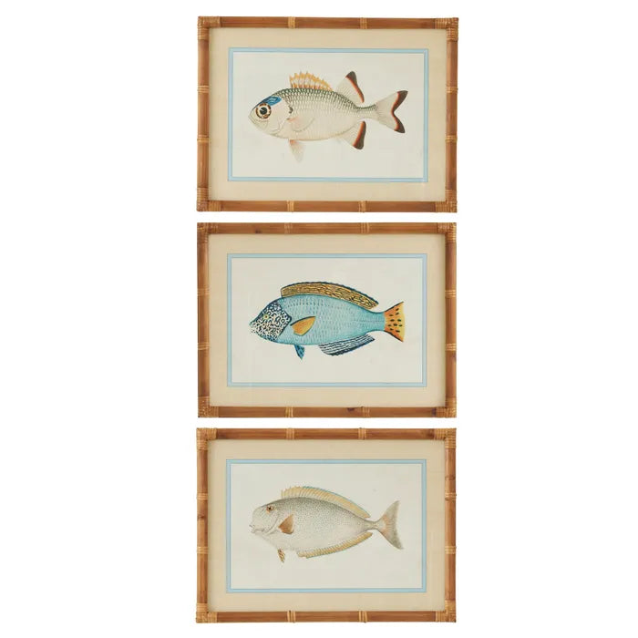 Coast to Coast Nemo Frame Glass Print Series