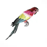 Majestic Stardust Parrot Small