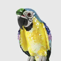 Azure Yellow Belly Parrot Small