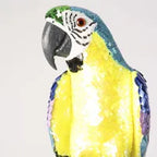 Azure Yellow Belly Parrot Large