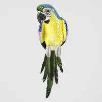 Azure Yellow Belly Parrot Large