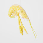 Lester Glitter Prawn Ornament- Assorted