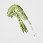 Lester Glitter Prawn Ornament- Assorted
