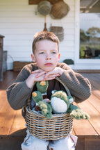 Nana Huchy Finley the Frog