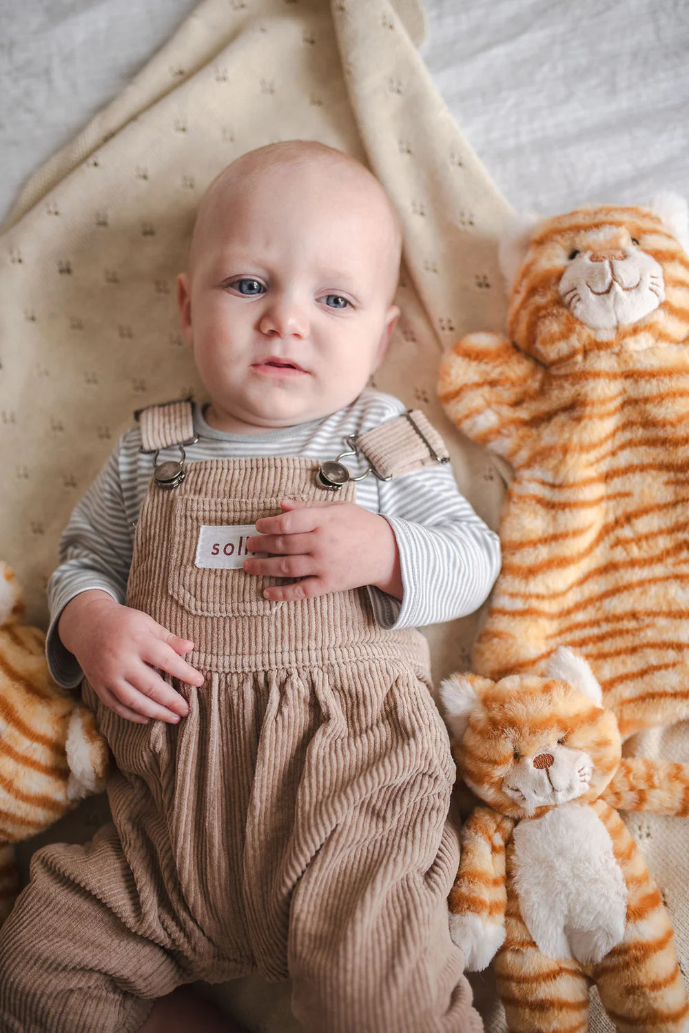 Nana Huchy Ginger the Cat Hoochy Coochie