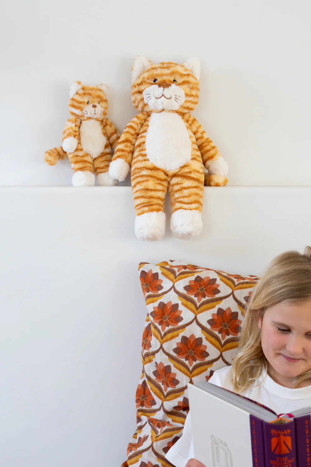 Nana Huchy Ginger the Kitten