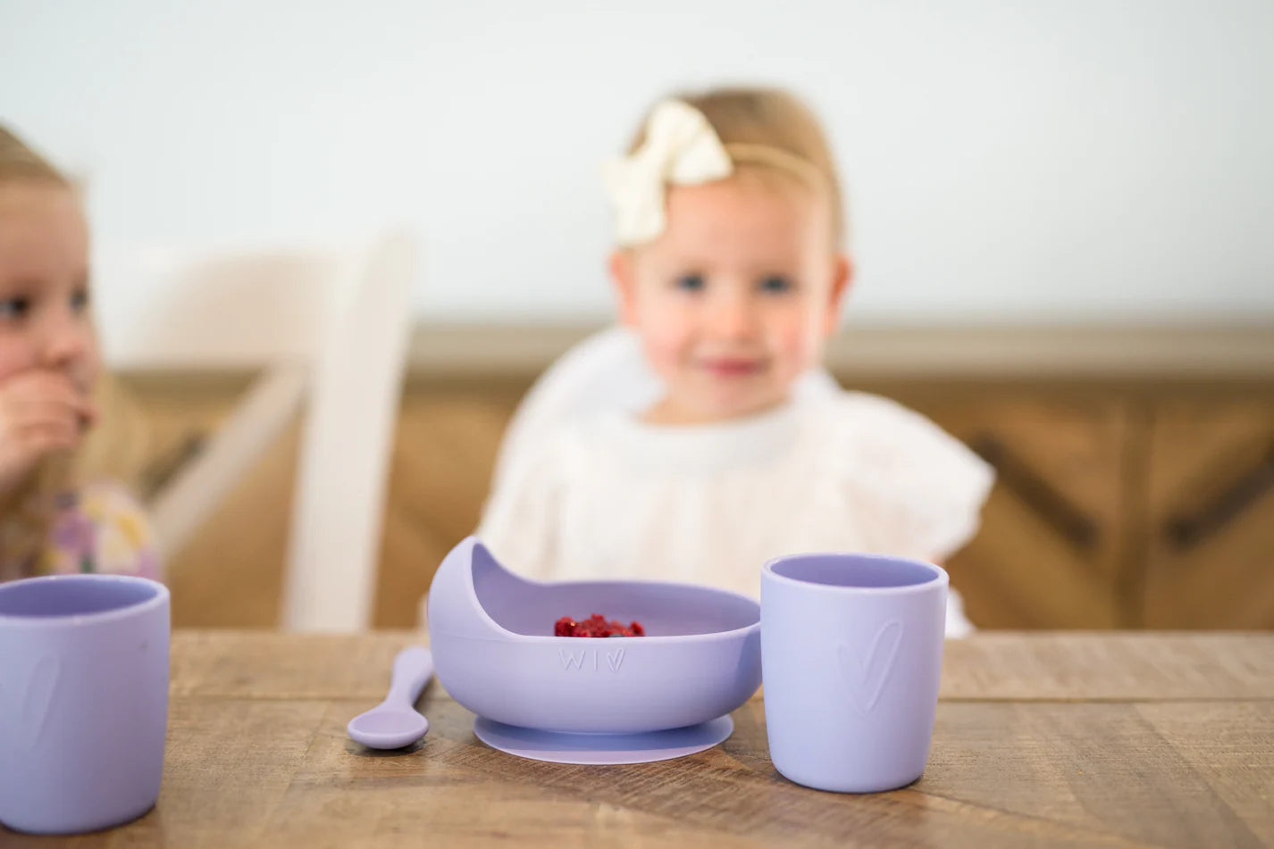 Silicone Bowl Set - Suction bowl for baby by Wild Indiana