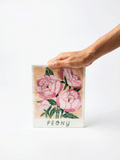 Jones & Co Market Wall Art Peony