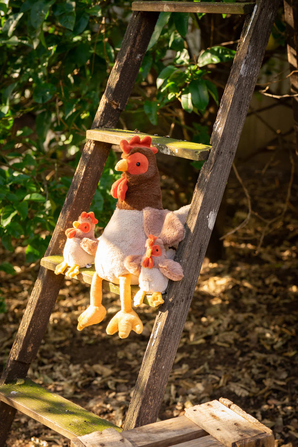 Nana Huchy Randy the Rooster