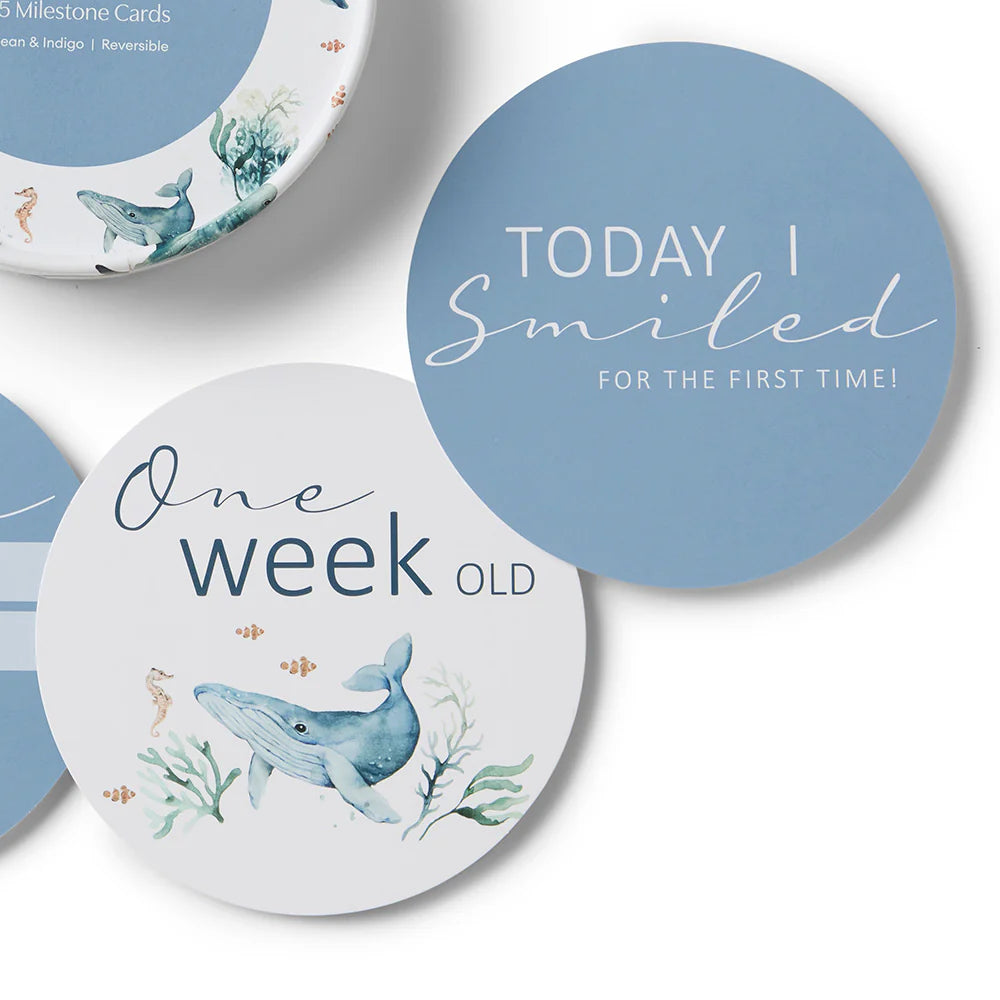 Snuggle Hunny - Ocean & Indigo Reversible Milestone Cards