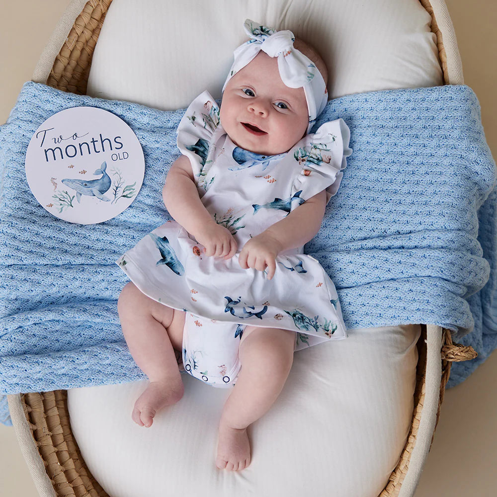 Snuggle Hunny - Ocean & Indigo Reversible Milestone Cards