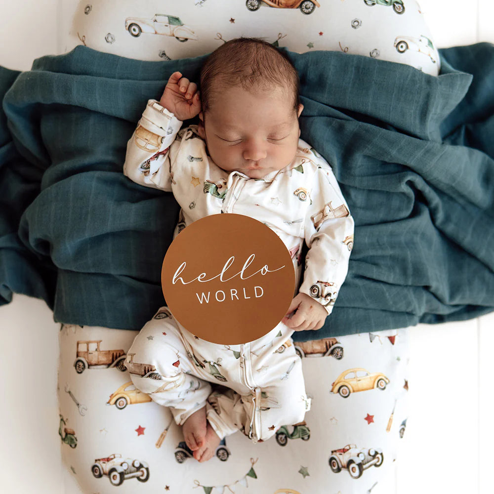 Snuggle Hunny Vintage Cars & Bronze Reversible Milestone Cards