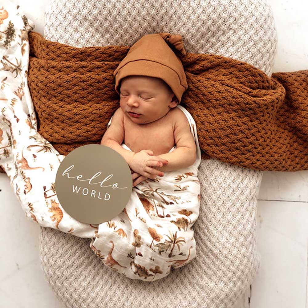 Snuggle Hunny Milestone Cards - Dino & Dewkist