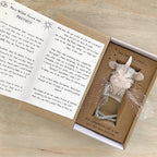 WISH PIXIE WILKE for Positivity