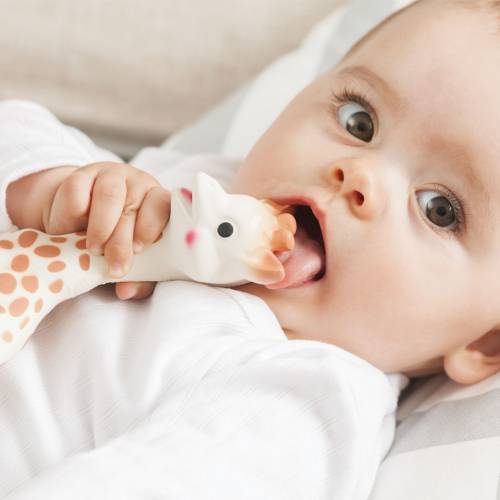 Sophie La Girafe Teether