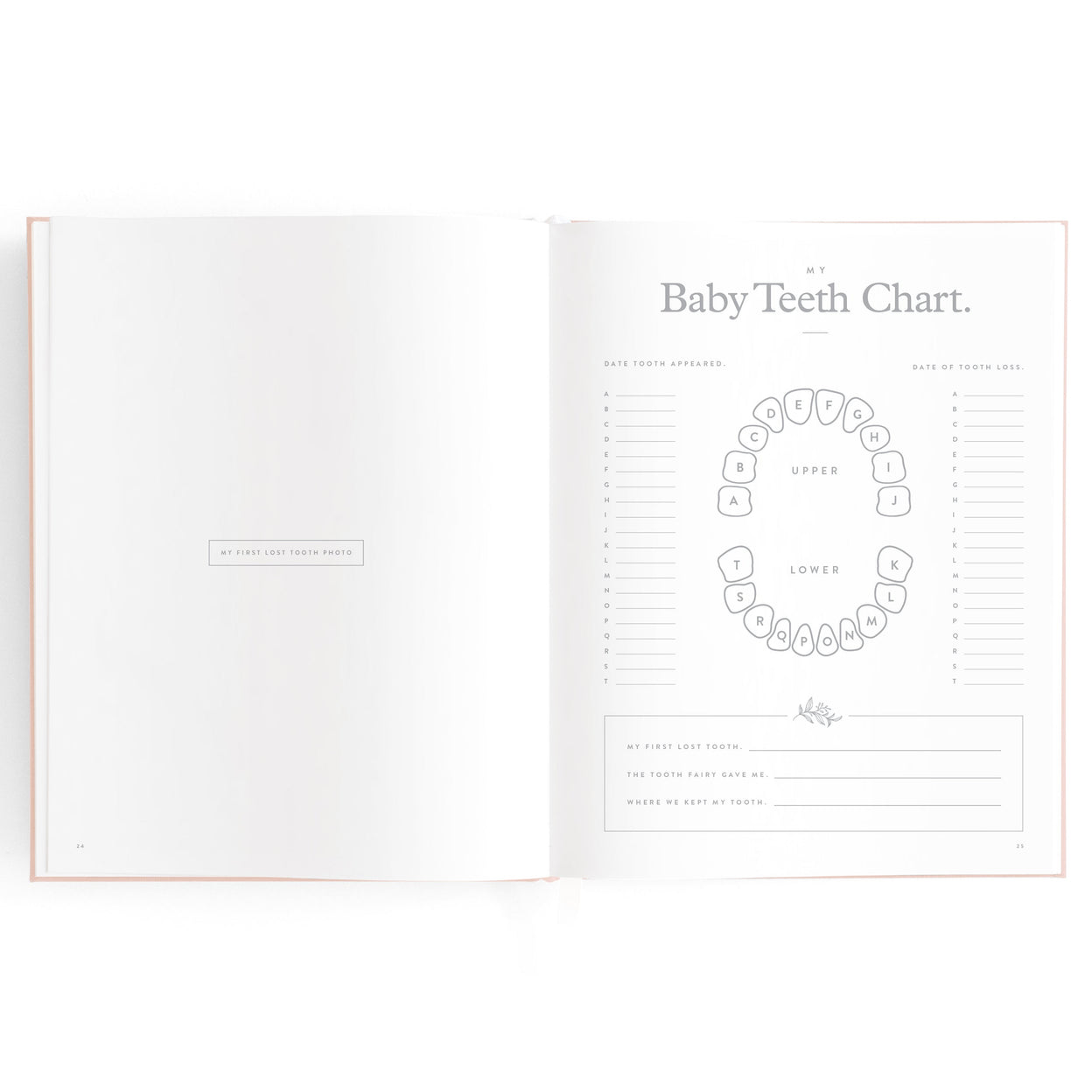 Fox and Fallow Biscuit Boxed Baby Book