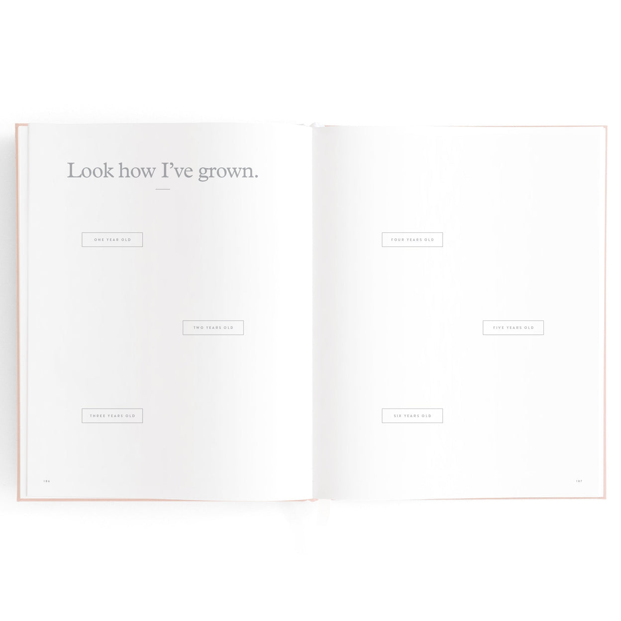 Fox and Fallow Biscuit Boxed Baby Book