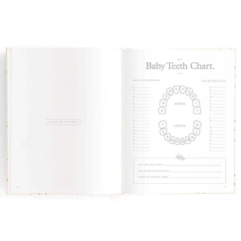Fox & Fallow Baby Book Broderie Boxed