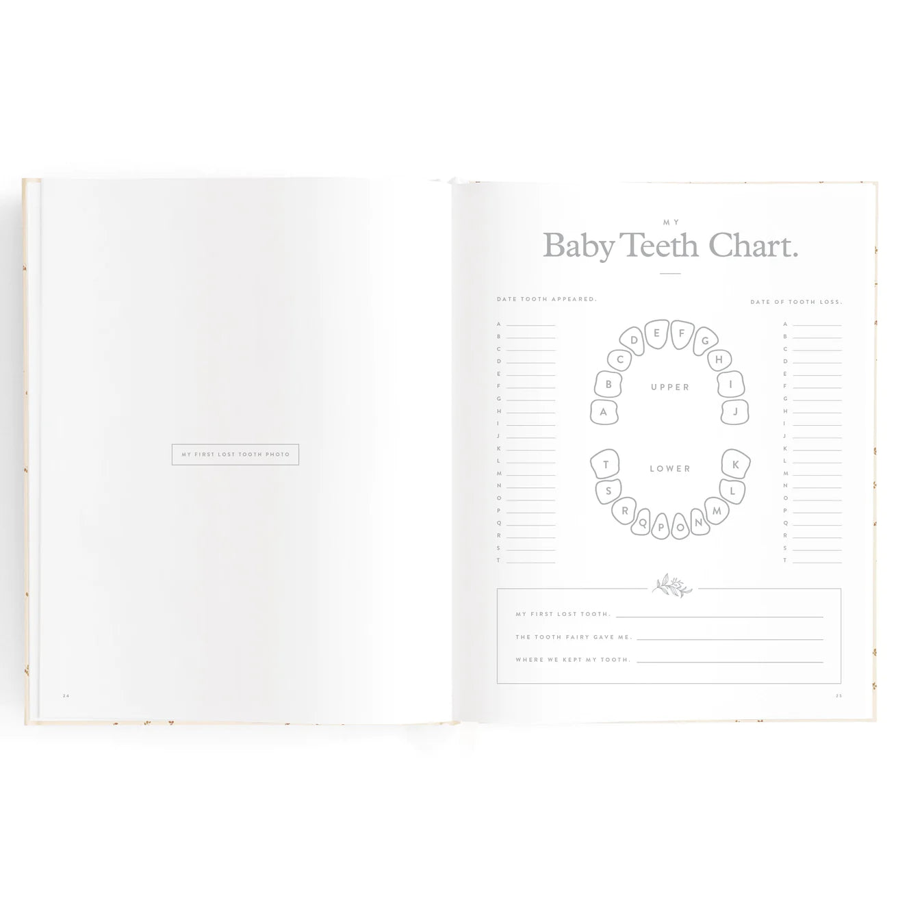 Fox & Fallow Baby Book Broderie Boxed