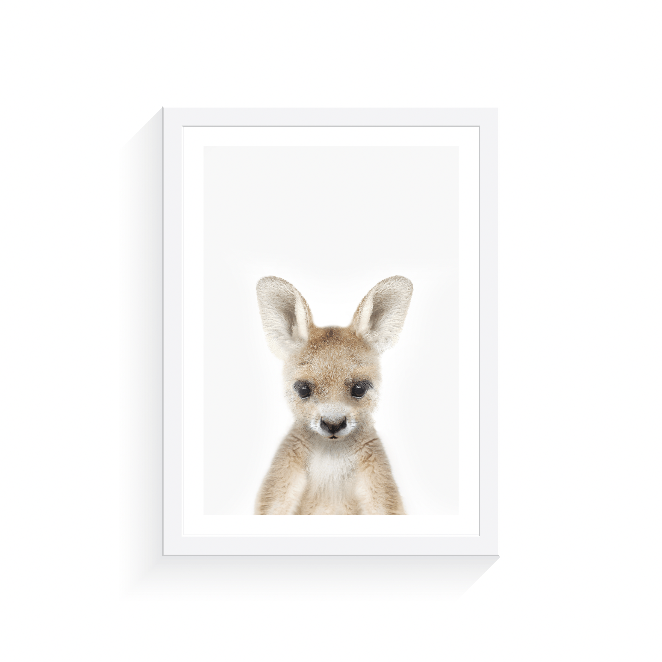 Arty Bub Australian Animal Prints