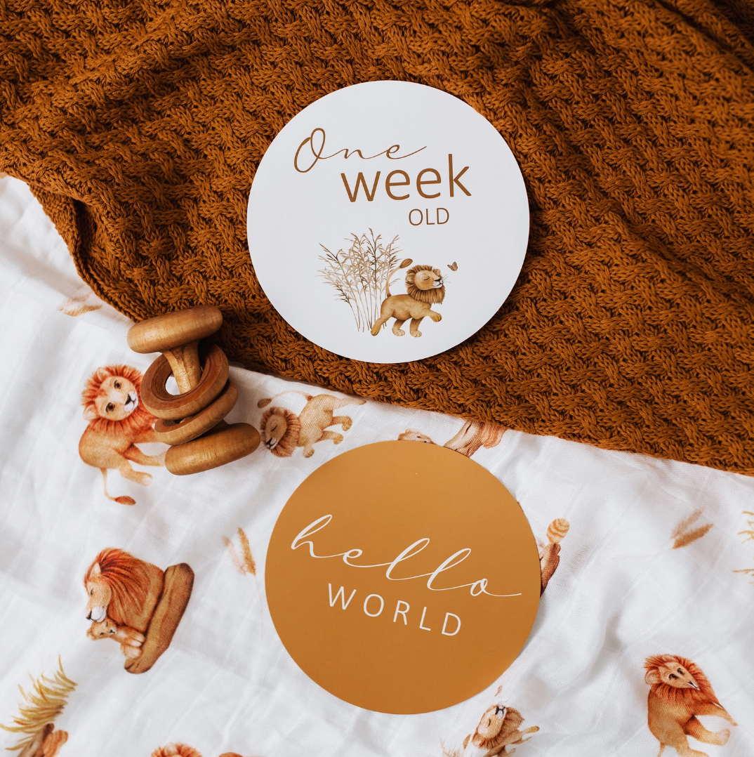 Snuggle Hunny Milestone Cards - Lion & Sunrise Gold