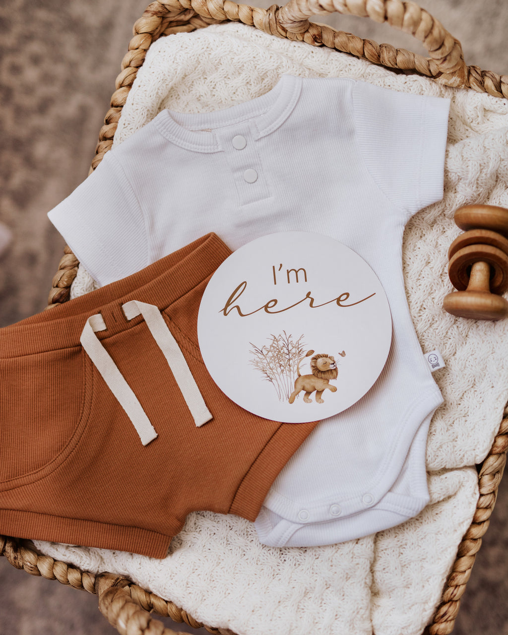 Snuggle Hunny Milestone Cards - Lion & Sunrise Gold