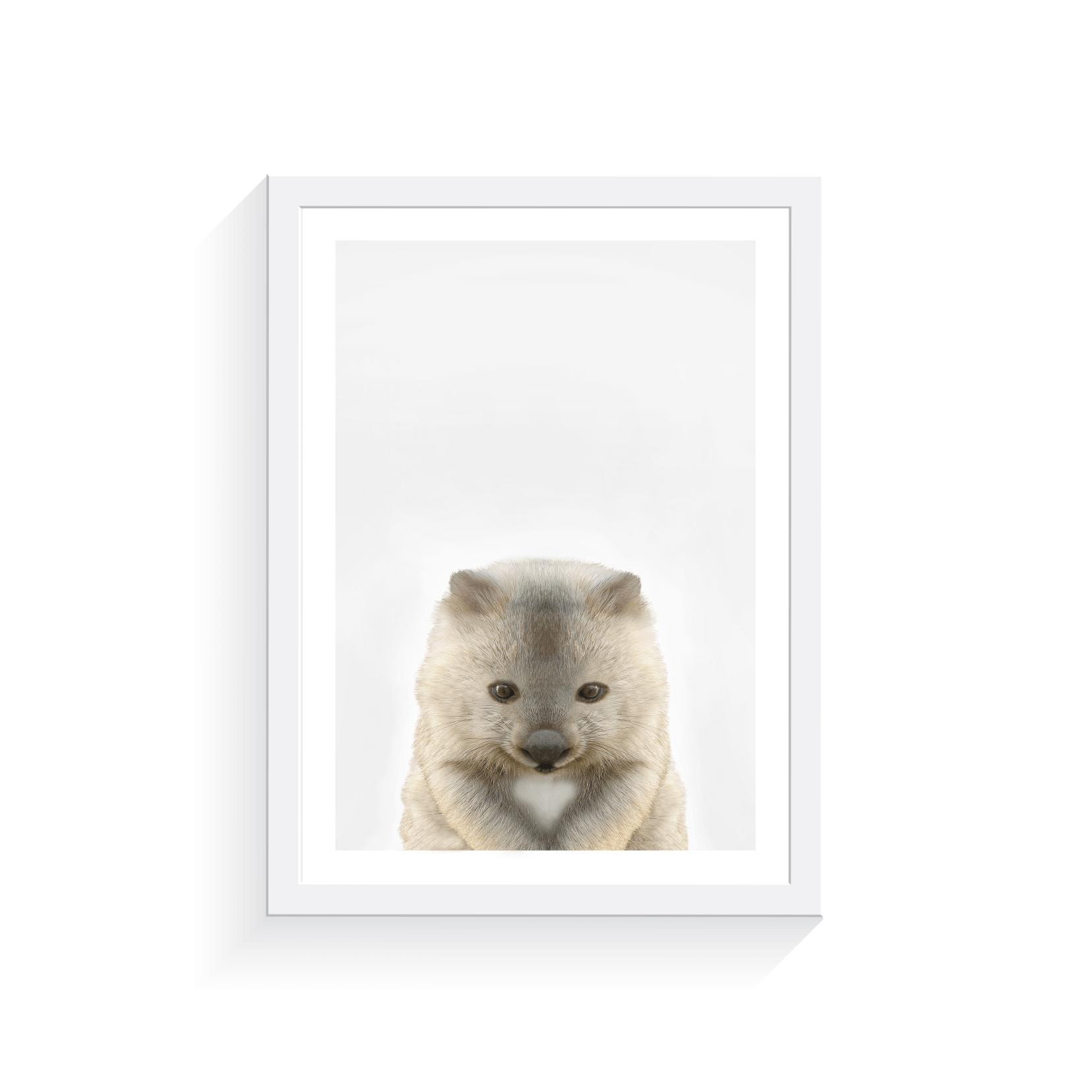 Arty Bub Australian Animal Prints